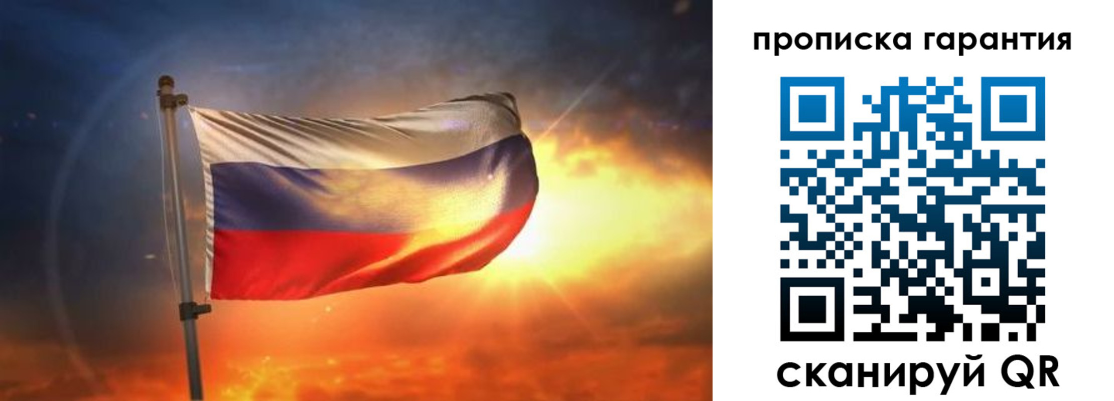прописка для школы в Владимире